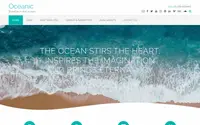 Oceanic theme preview