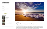 Openness theme preview