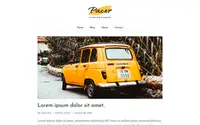 Pacer theme preview