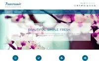Panoramic theme preview