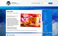 Pen theme preview