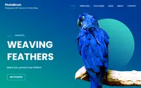 PhotoBrust theme preview