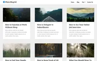 Plain Blogrid theme preview