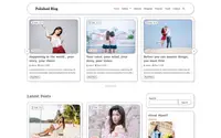 Polished Blog theme preview