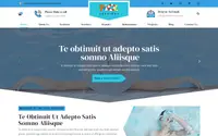 Pool Services Lite theme preview