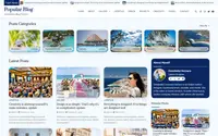 Popular Blog theme preview