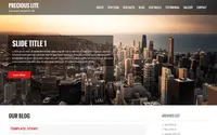 Precious Lite theme preview