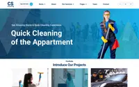 Professional Cleaning Company theme preview