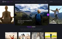 Professional Video Vlogger theme preview