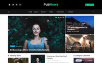 Pubnews theme preview