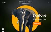 Scapeshot Light theme preview
