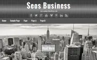 Seos Business theme preview