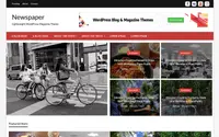 Simple Newspaper theme preview