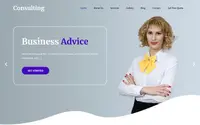 SKT Consulting theme preview