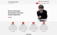 SKT IT Consultant theme preview