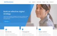 Soft Business theme preview