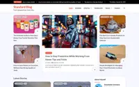 Standard Blog theme preview