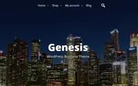 Startinger theme preview