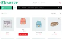 Startup Store theme preview