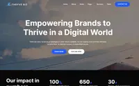 Thryve Biz theme preview
