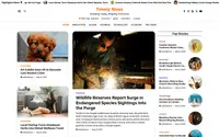 Timely News theme preview