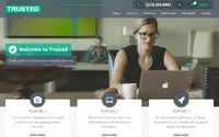 Trusted theme preview