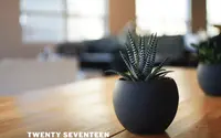 Twenty Seventeen theme preview