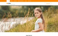 Vision Lite theme preview