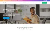 VisualBusiness theme preview