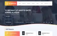 VW Consulting theme preview