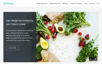 Wellness theme preview