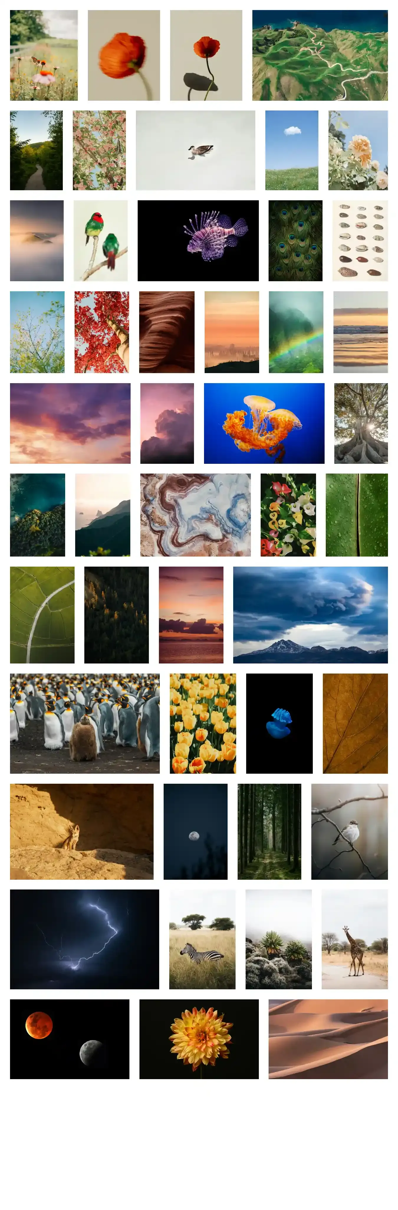 Astro Photo Grid home page on desktop