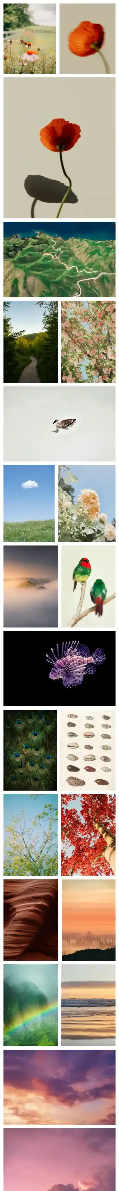 Astro Photo Grid home page on mobile