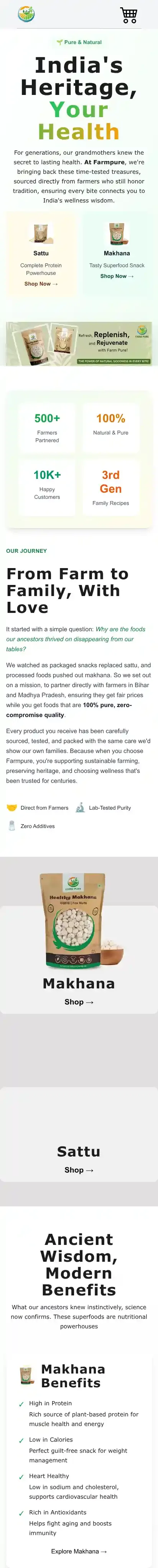 Estrocom home page on mobile