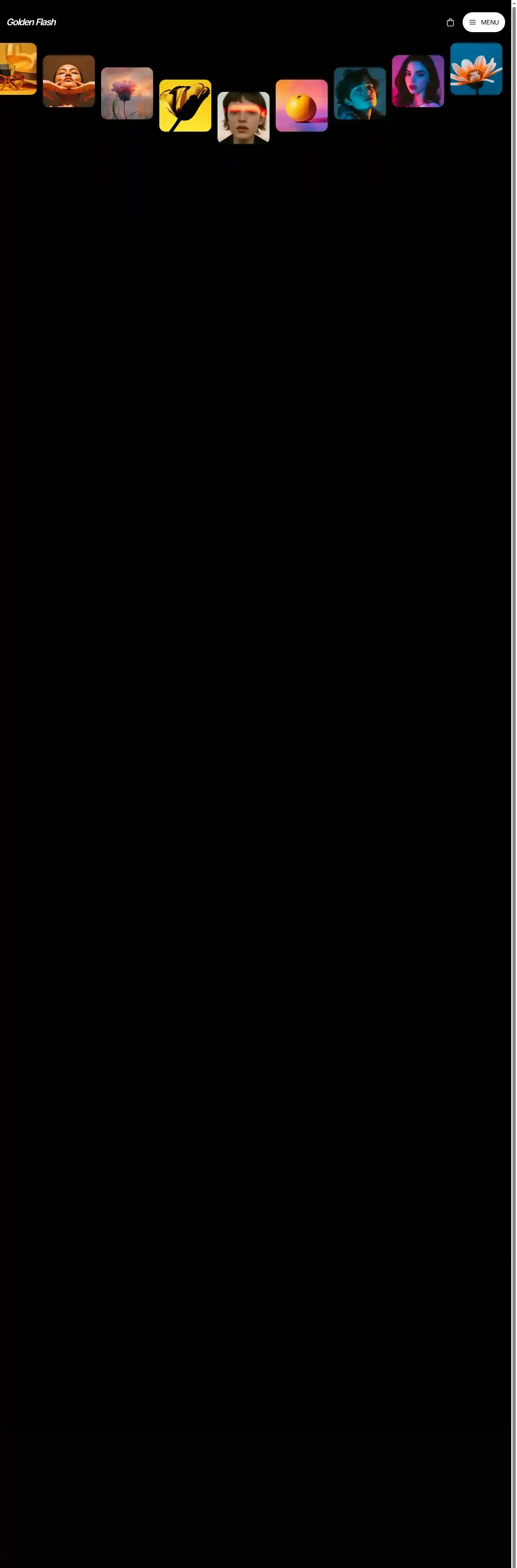 Golden Flash home page on desktop