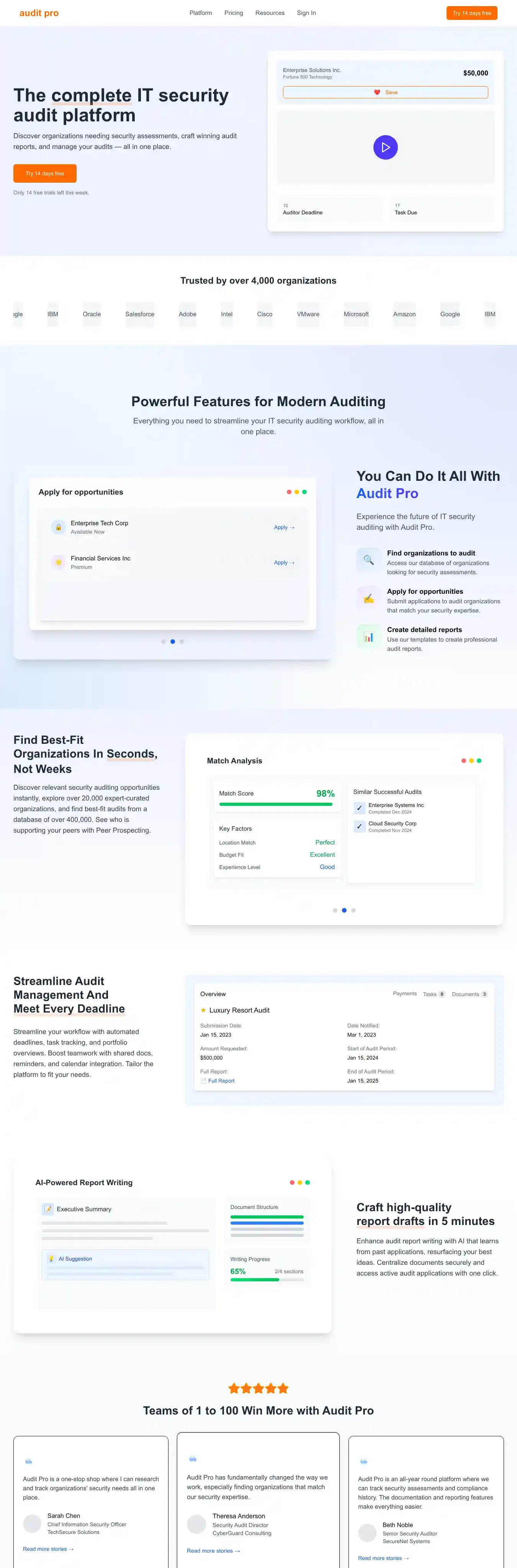 IT Audit Pro Business Website home page on desktop