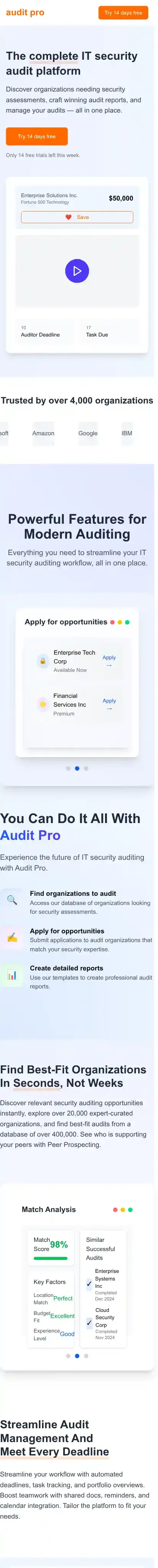IT Audit Pro Business Website home page on mobile
