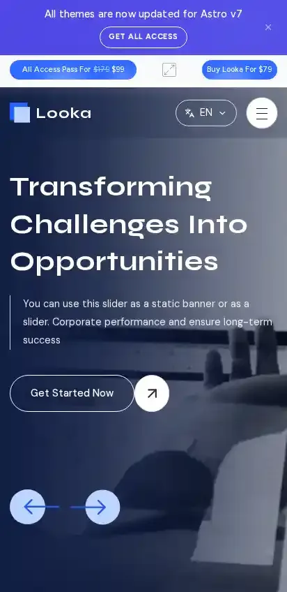 Looka ∙ Multipurpose home page on mobile