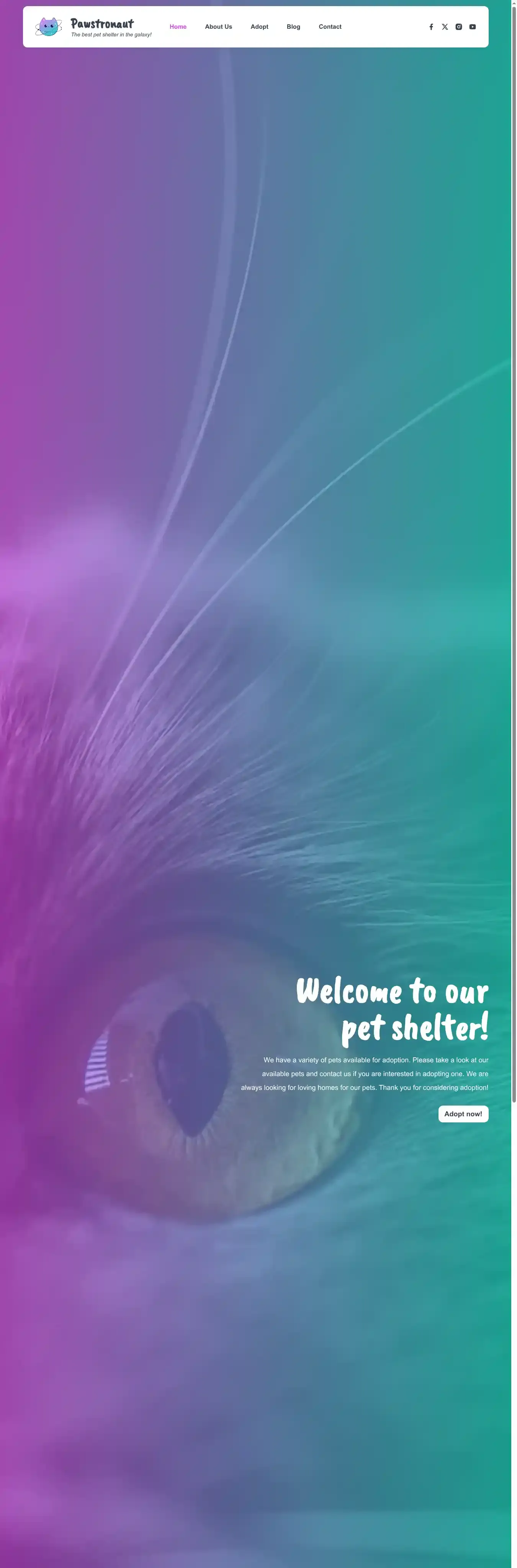 Pawstronaut home page on desktop