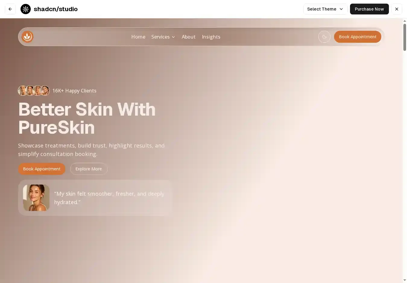 PureSkin home page on desktop