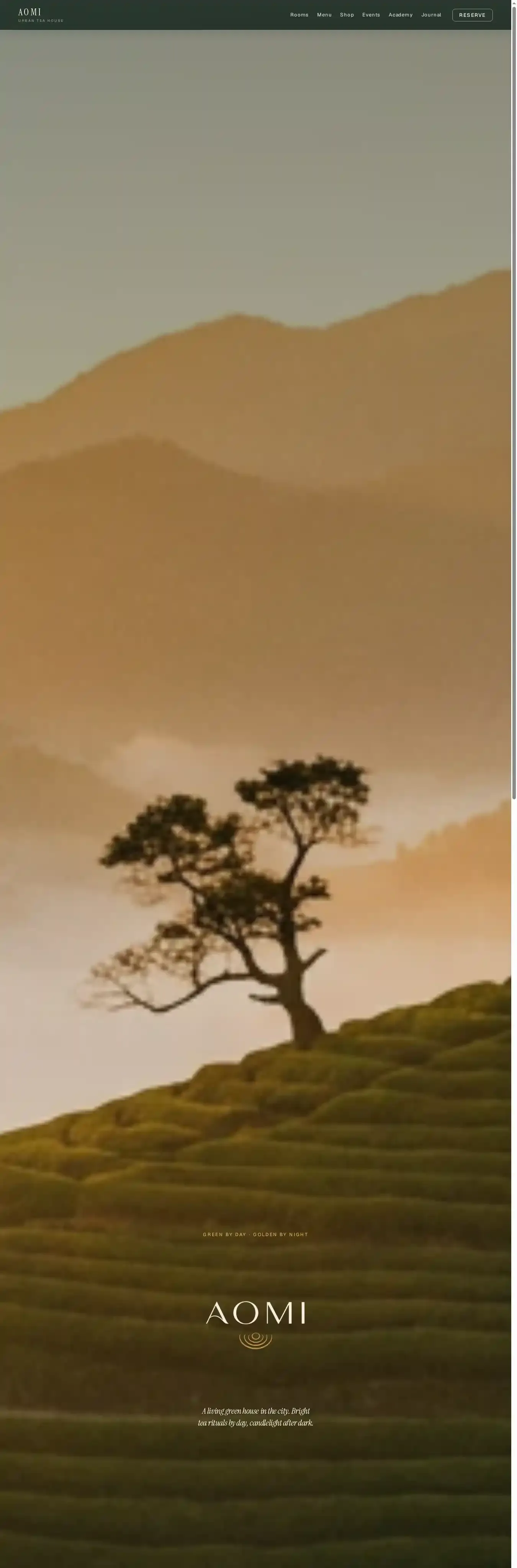 AOMI home page on desktop