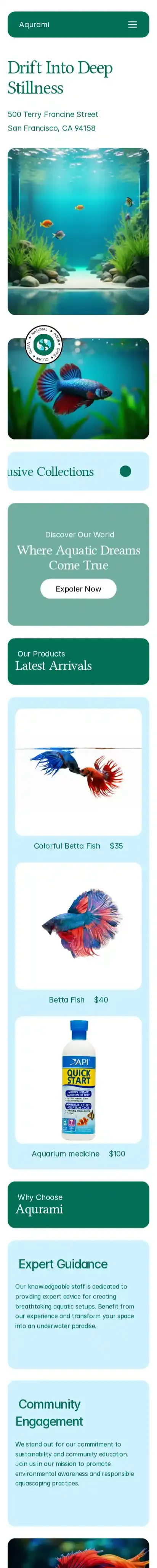 Aquami home page on mobile