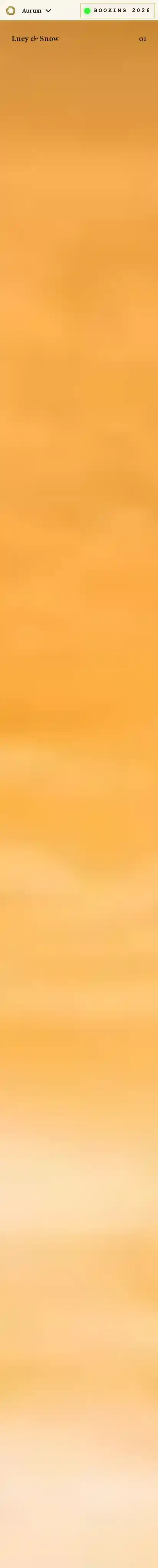 Aurum photofolio home page on mobile