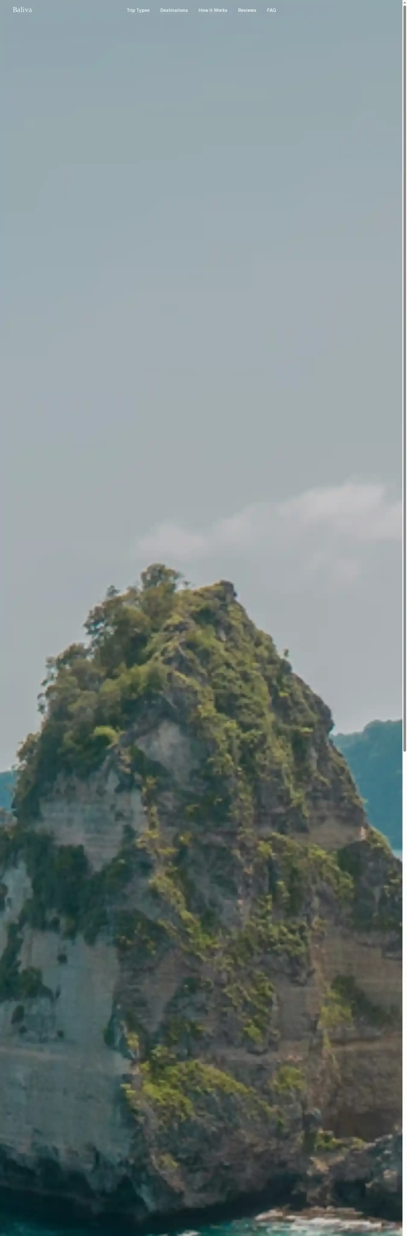 Baliva home page on desktop