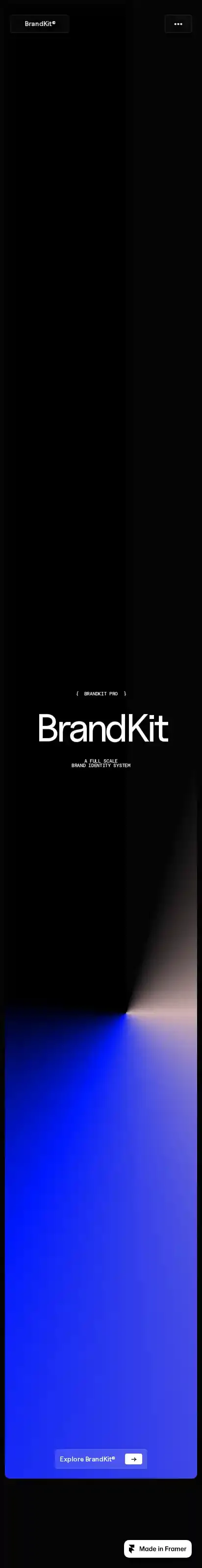 BrandKit home page on mobile