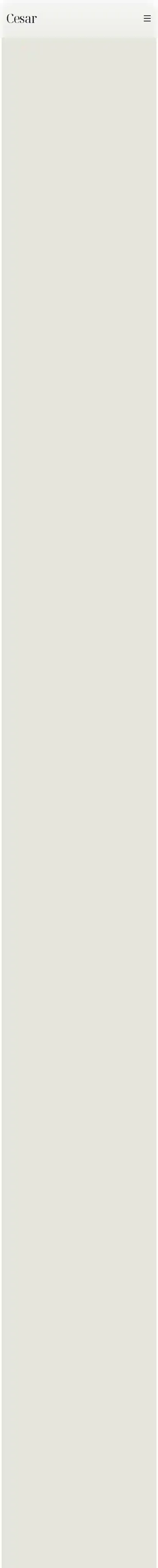 cesar home page on mobile