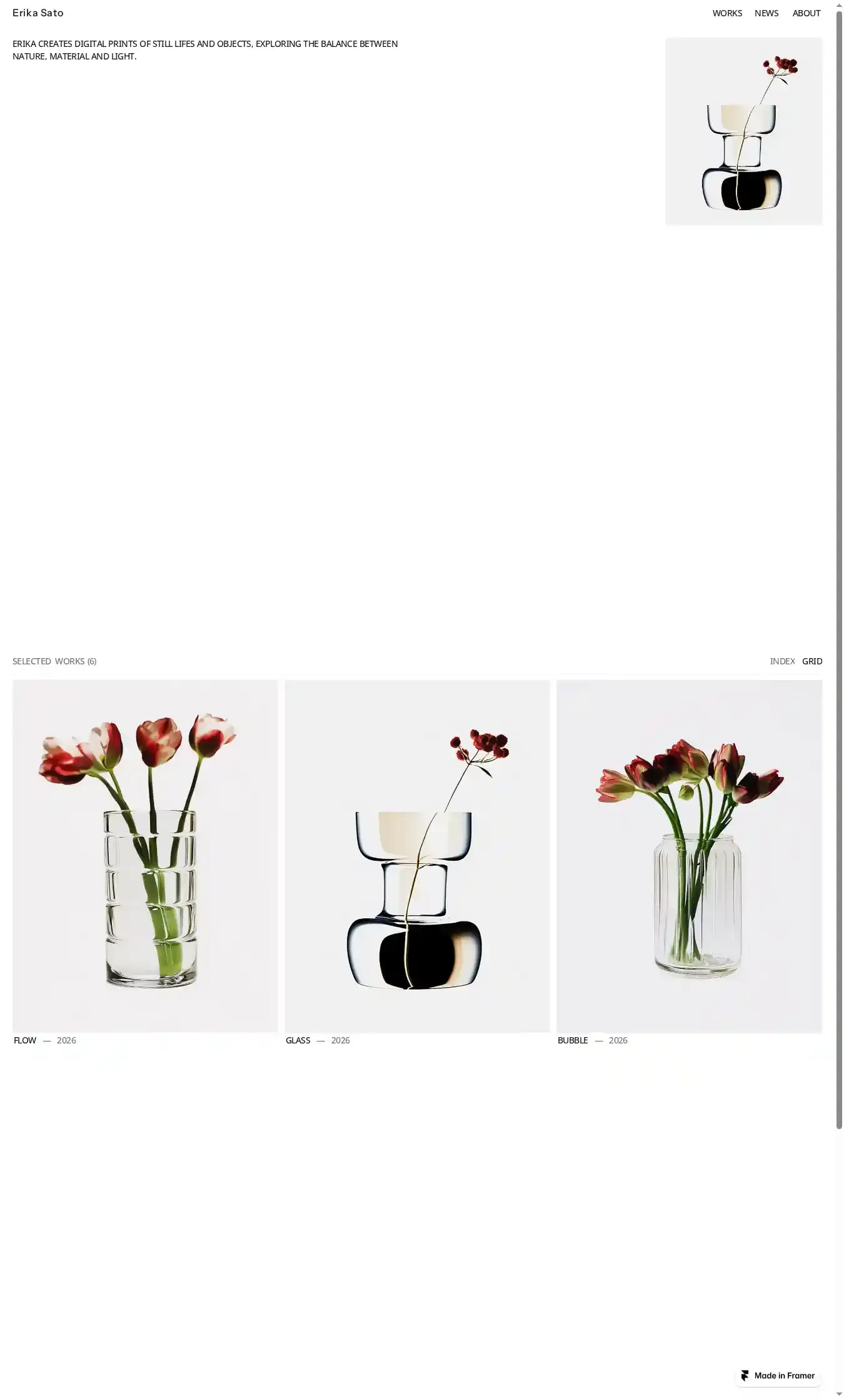 Erika home page on desktop