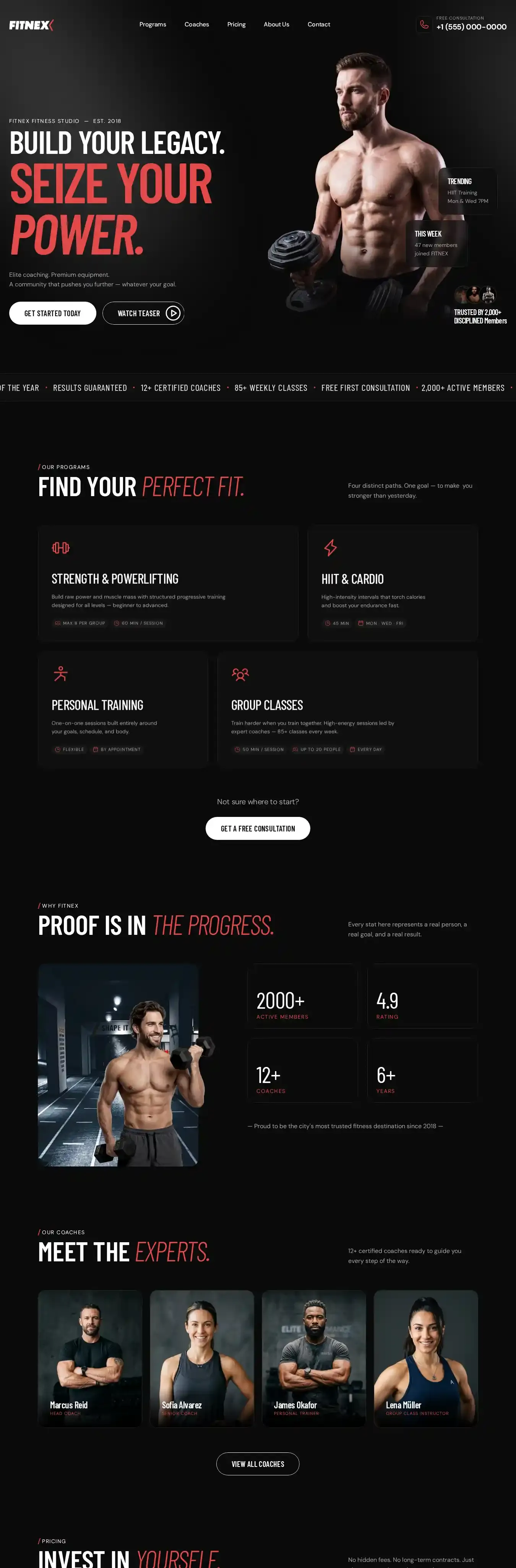 Fitnex Gym home page on desktop