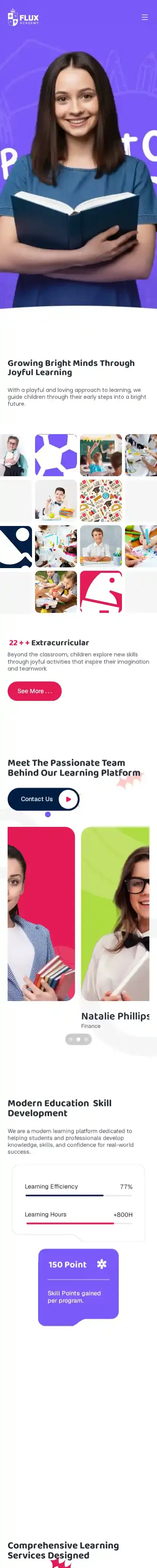 Flux Academy home page on mobile