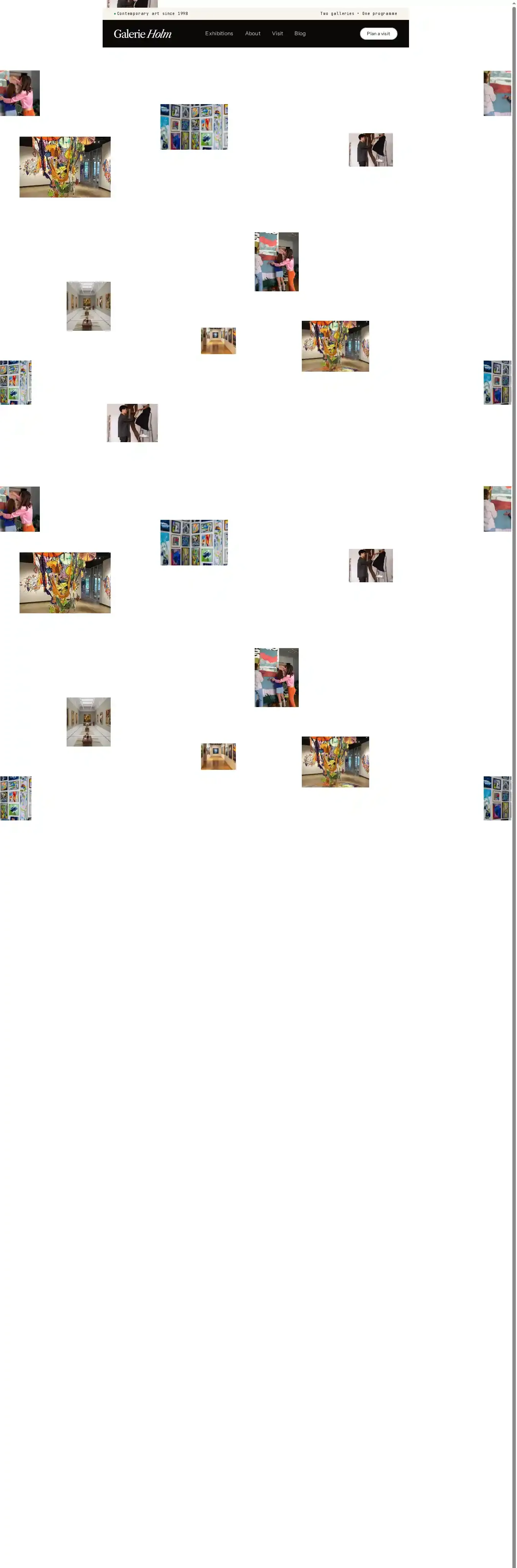 Galerie Holm home page on desktop